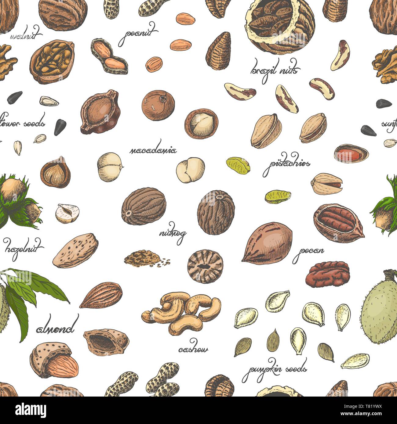 Seamless pattern with colored nuts and seeds. Vector illustration for ...