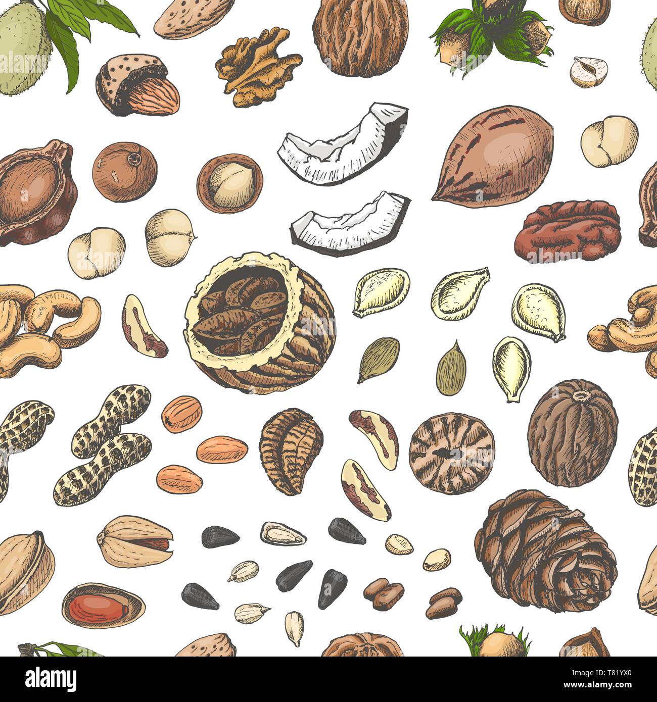 Seamless pattern with colored nuts and seeds. Vector illustration for ...