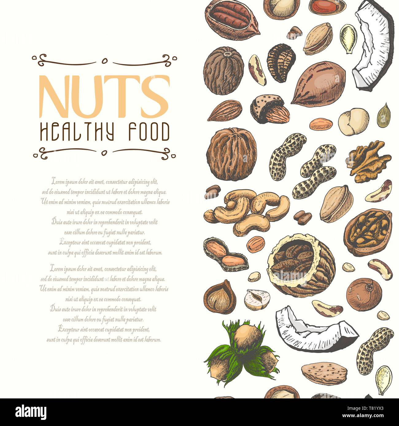 Vertical seamless background with colored nuts and seeds. Vector ...
