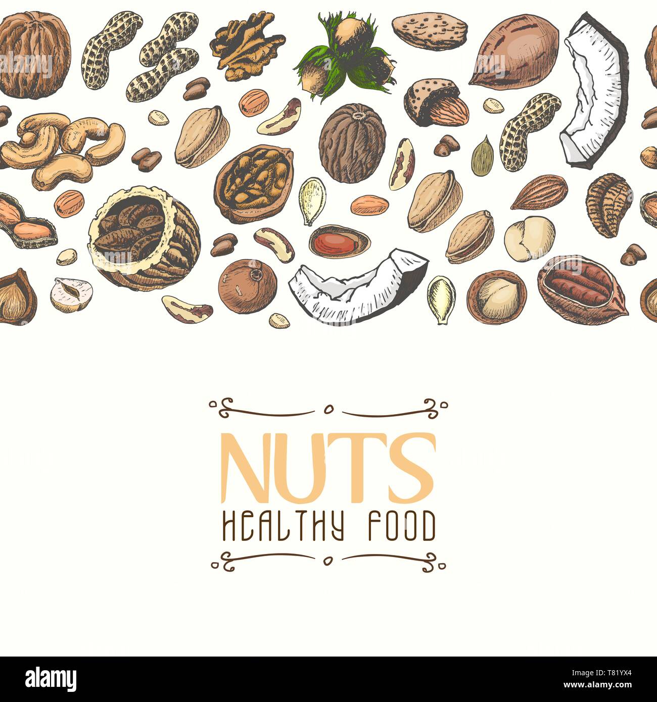 Horizontal seamless background with colored nuts and seeds. Vector ...