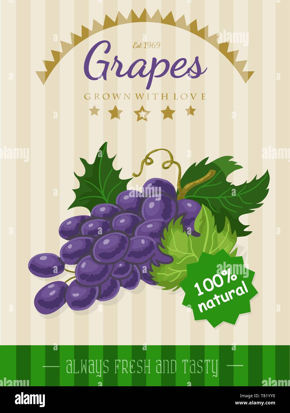 Vector poster with a grapes. Vector illustration for your design Stock