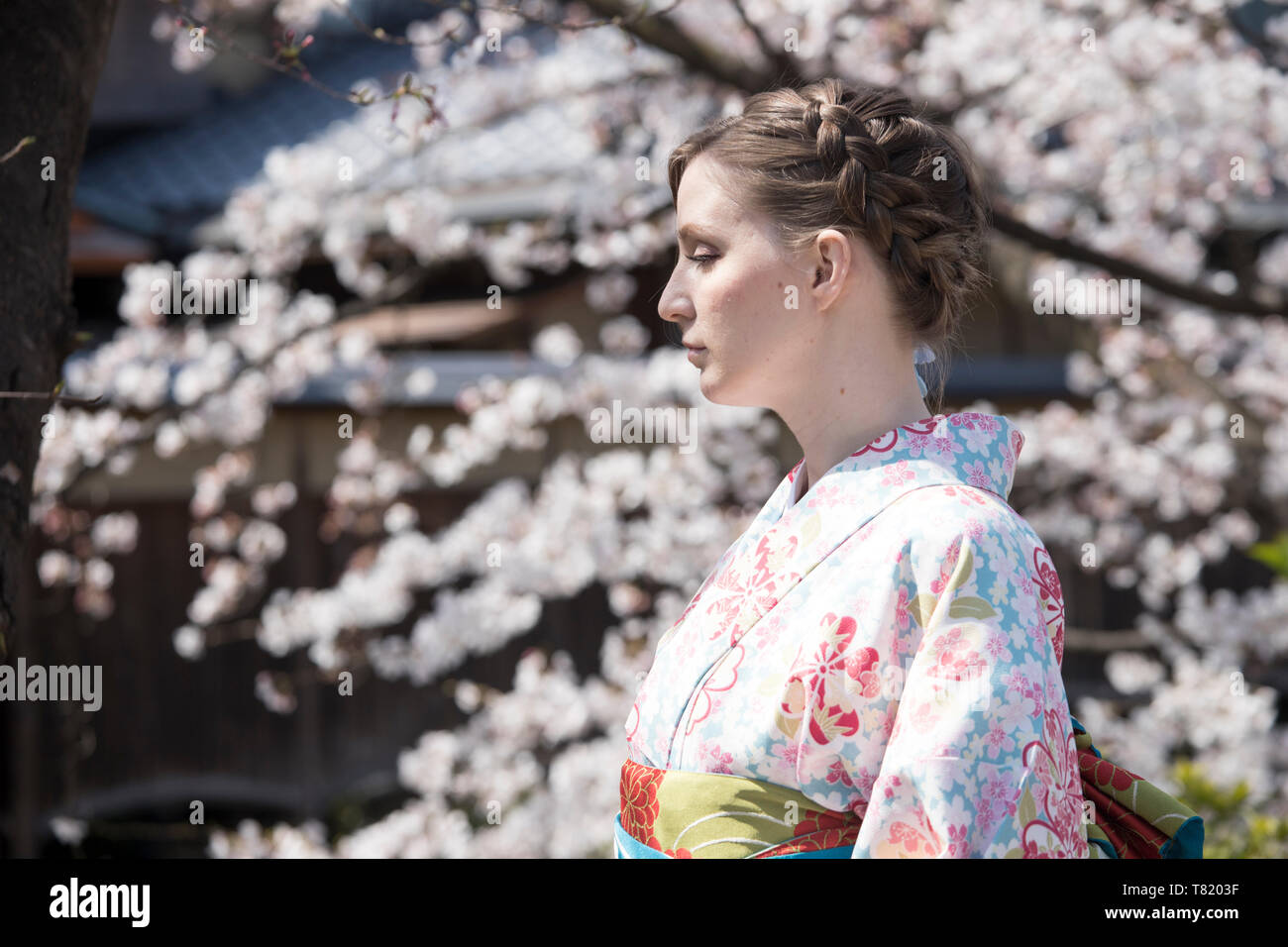 Cherry blossoms in Gion Kyoto Stock Photo