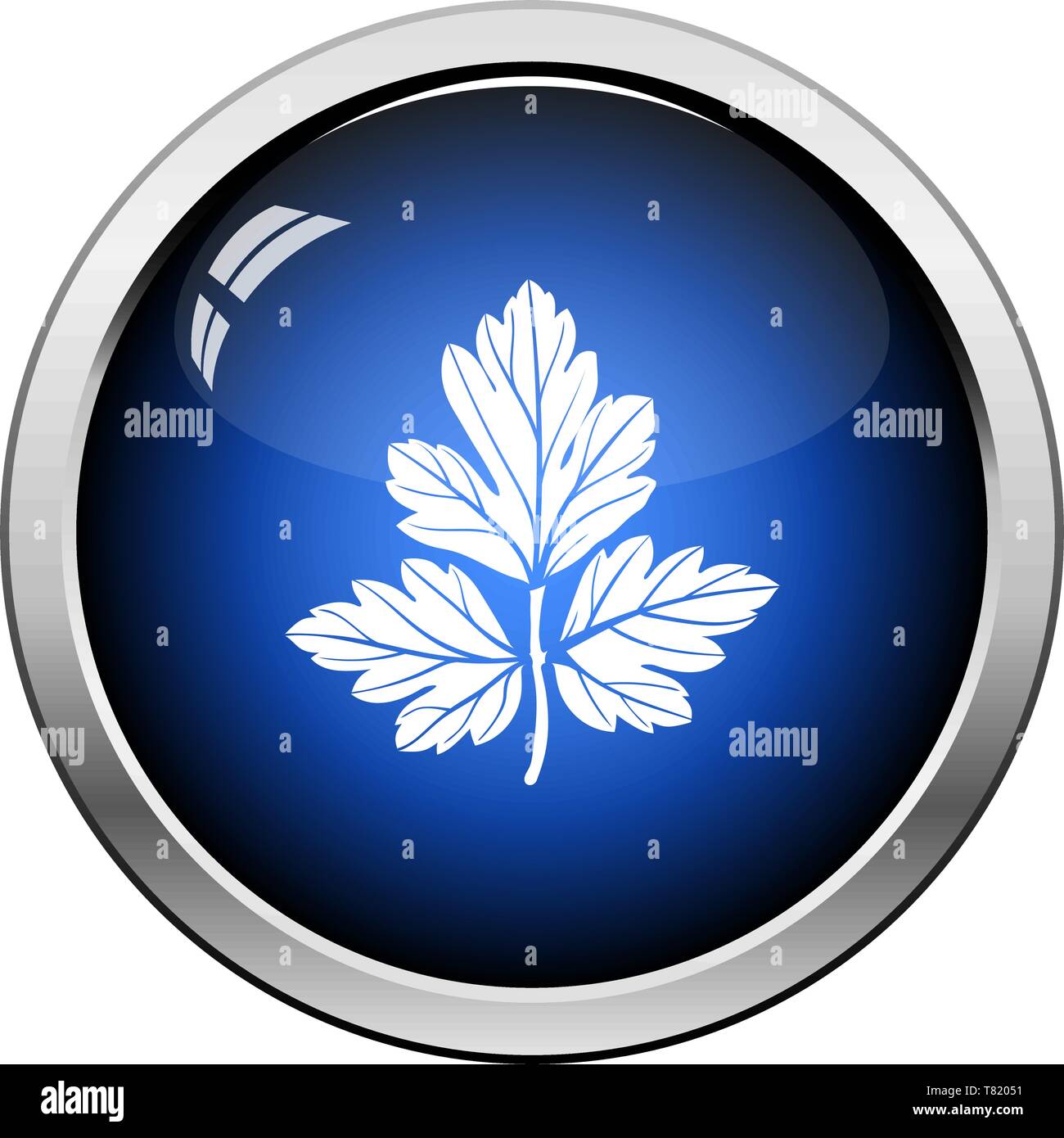 Parsley Icon. Glossy Button Design. Vector Illustration. Stock Vector