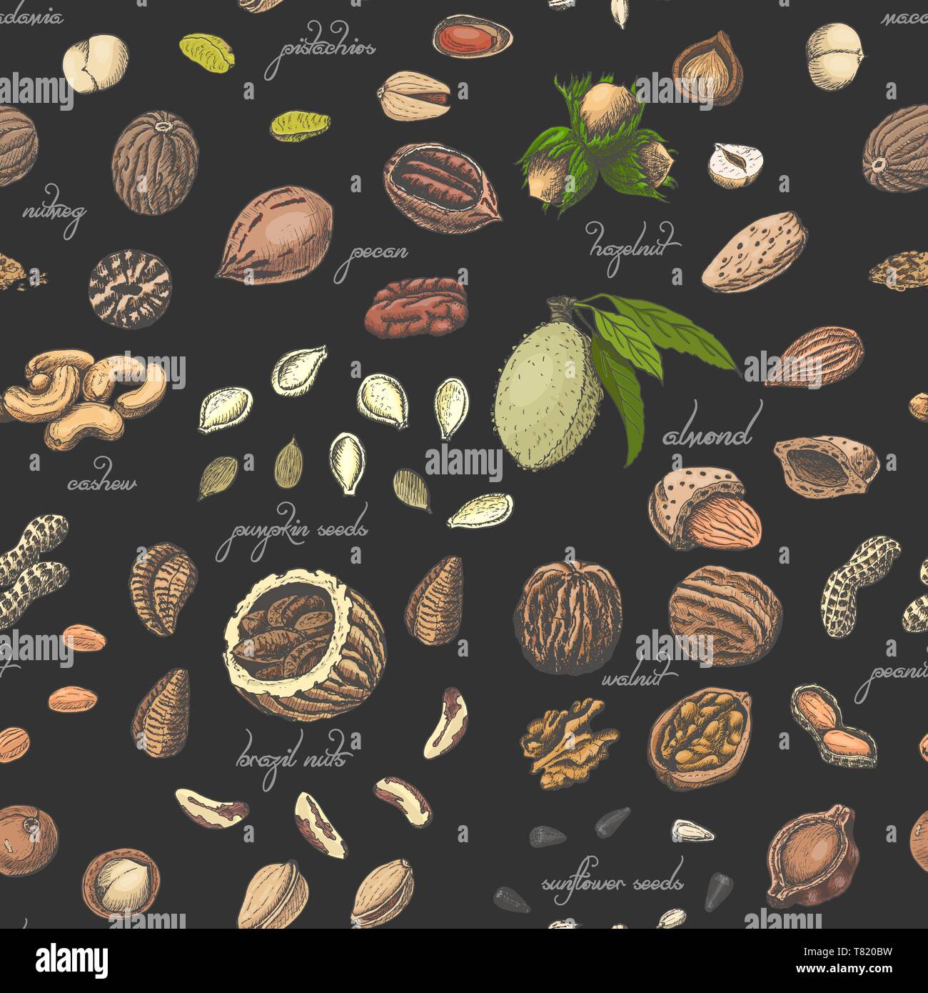 Seamless pattern with colored nuts and seeds. Vector illustration for ...
