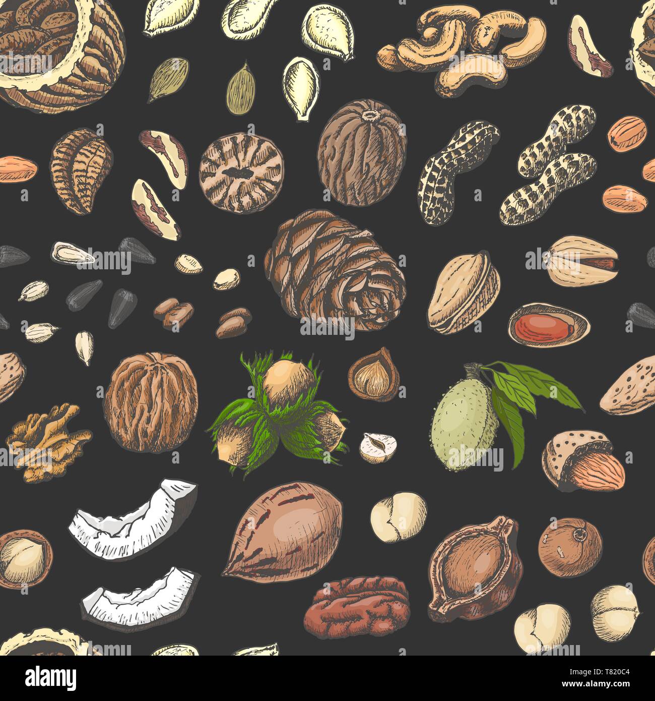 Seamless pattern with colored nuts and seeds. Vector illustration for ...