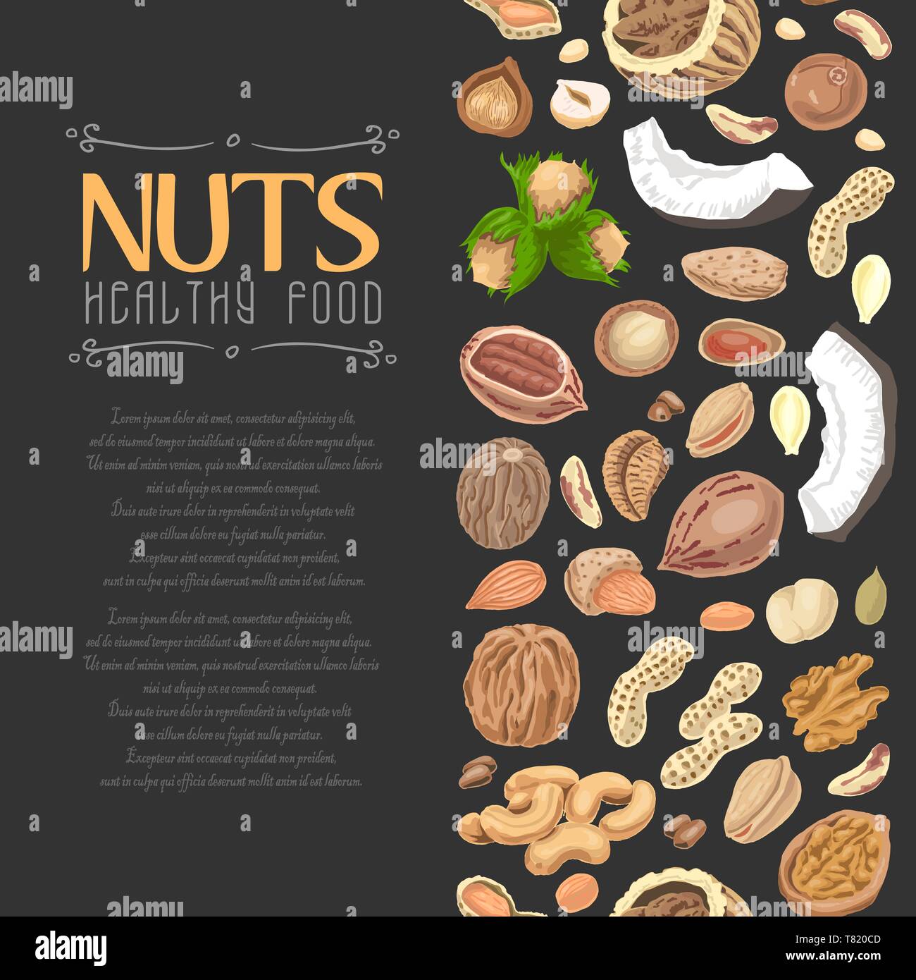 Vertical seamless background with colored nuts and seeds. Vector ...