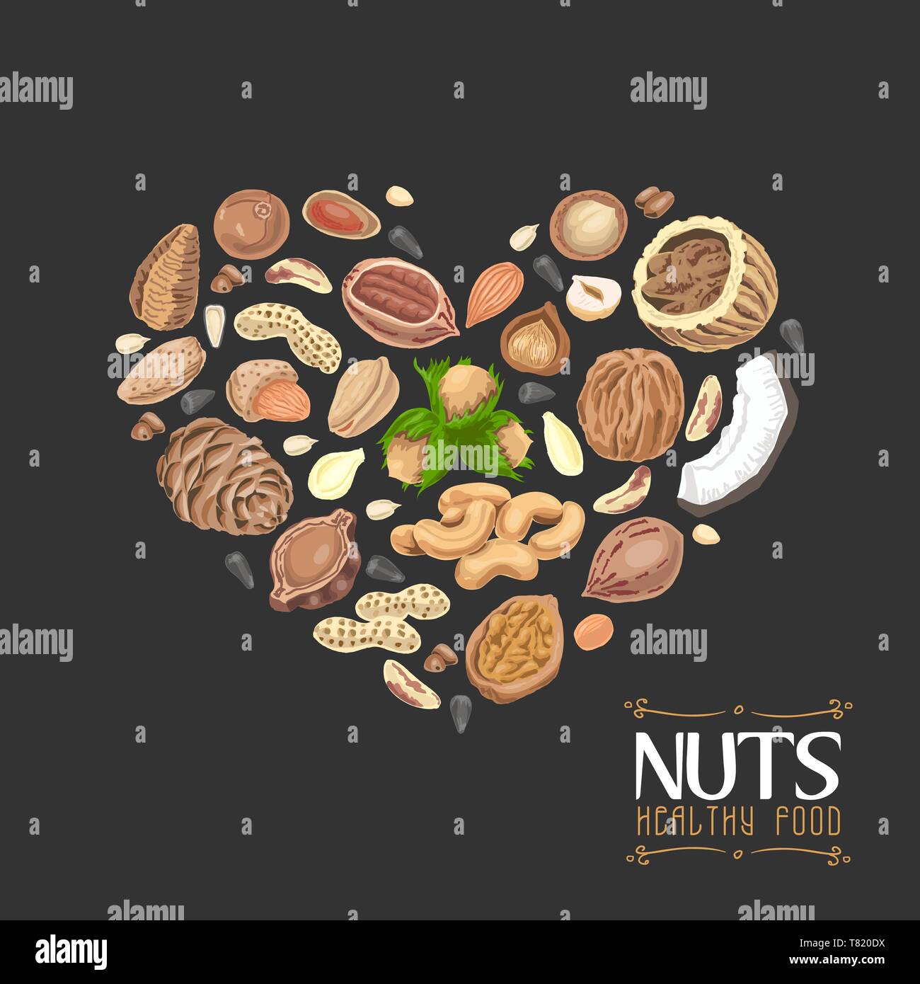 The isolated heart of nuts and seeds. Vector illustration for your design Stock Vector Image