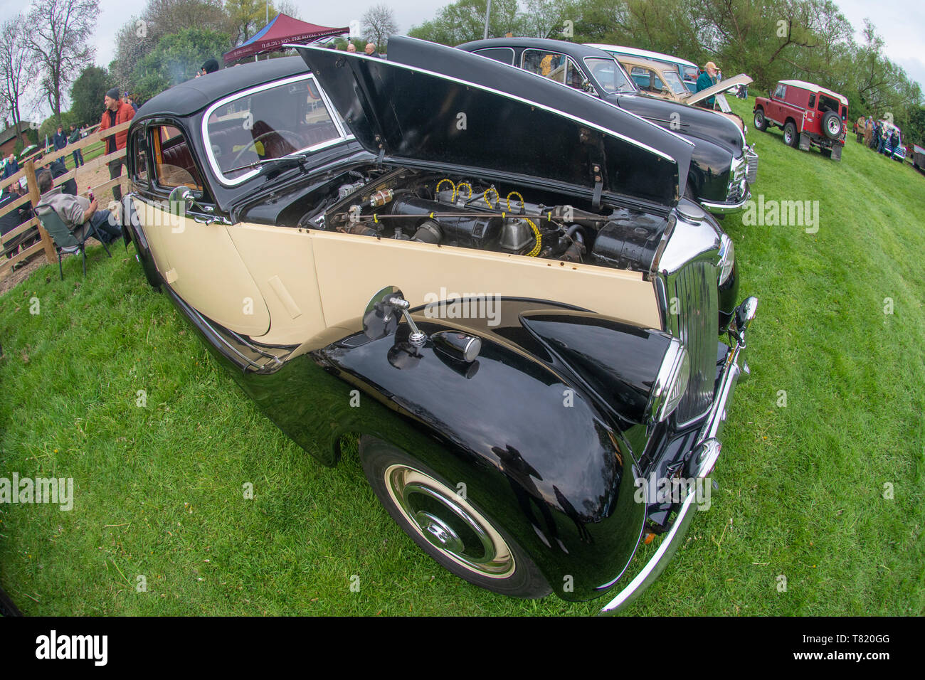 Riley at the Classic Car Show at the Gate Hangs Well in Syston