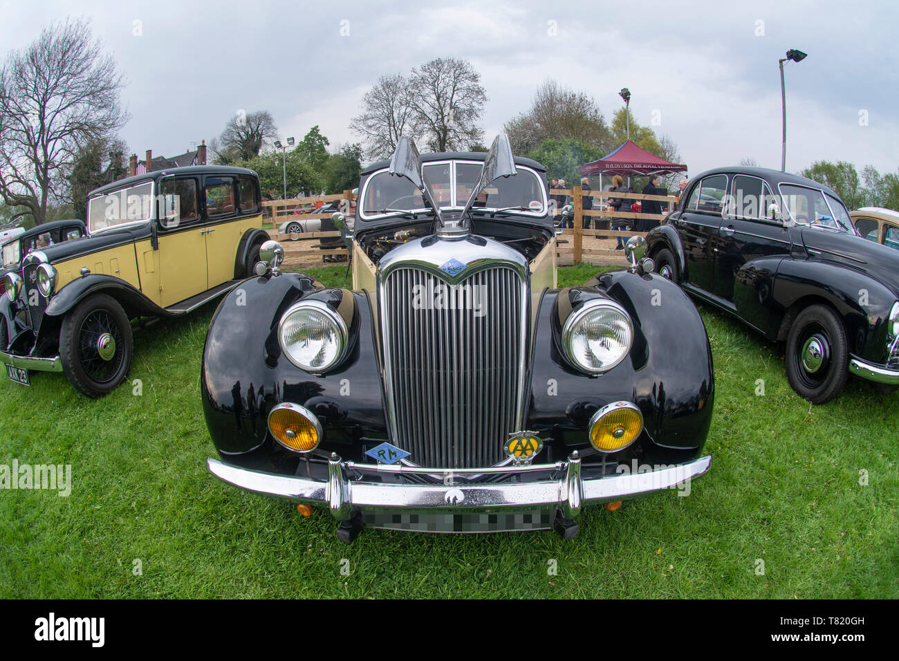 Riley at the Classic Car Show at the Gate Hangs Well in Syston