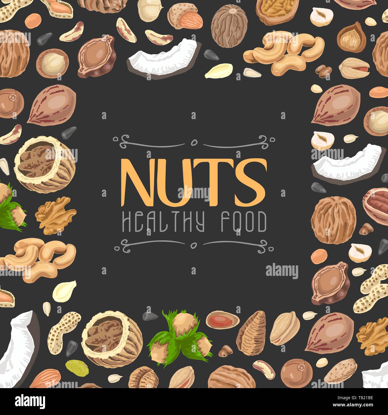 Background with colored nuts and seeds. Vector illustration for your