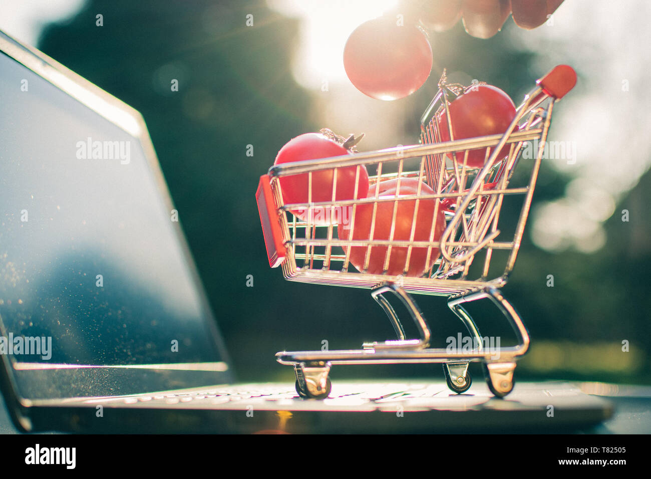 Concept of online grocery shopping. A miniature shopping cart with tomatoes is standing an a Notebook. Stock Photo