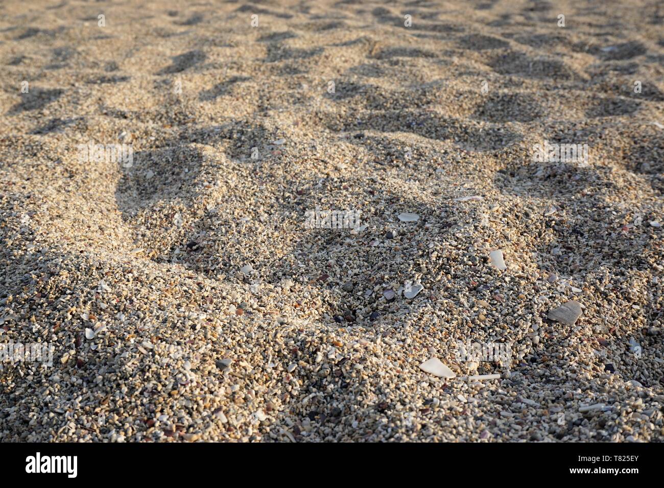 Pebbles Beach Close Up Sand High Resolution Stock Photography and ...