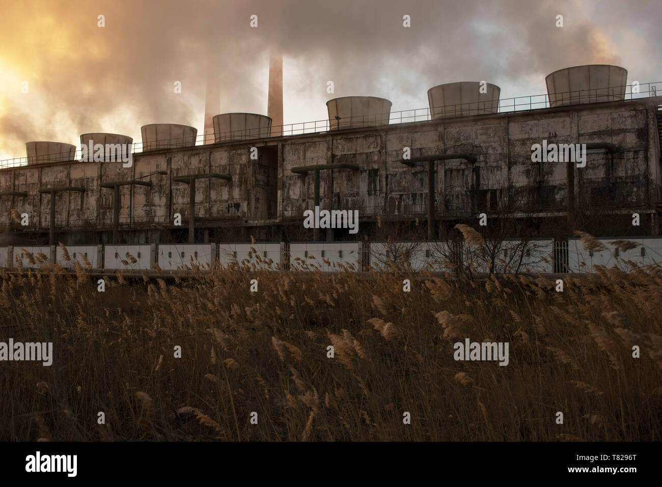 Chemical plant cooling towers steam at sunrise in winter Stock Photo Alamy