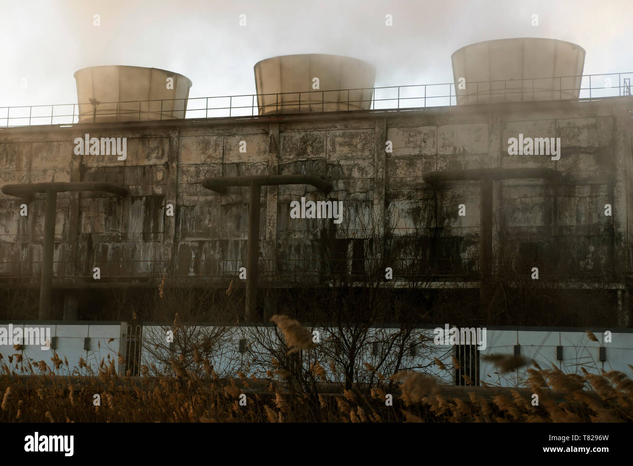 Chemical plant cooling towers steam at sunrise in winter. Stock Photo