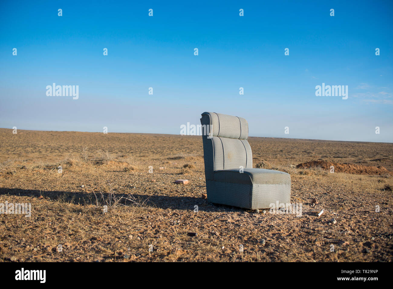 Shabby sofa in the meadow in the winter pasture. Stock Photo