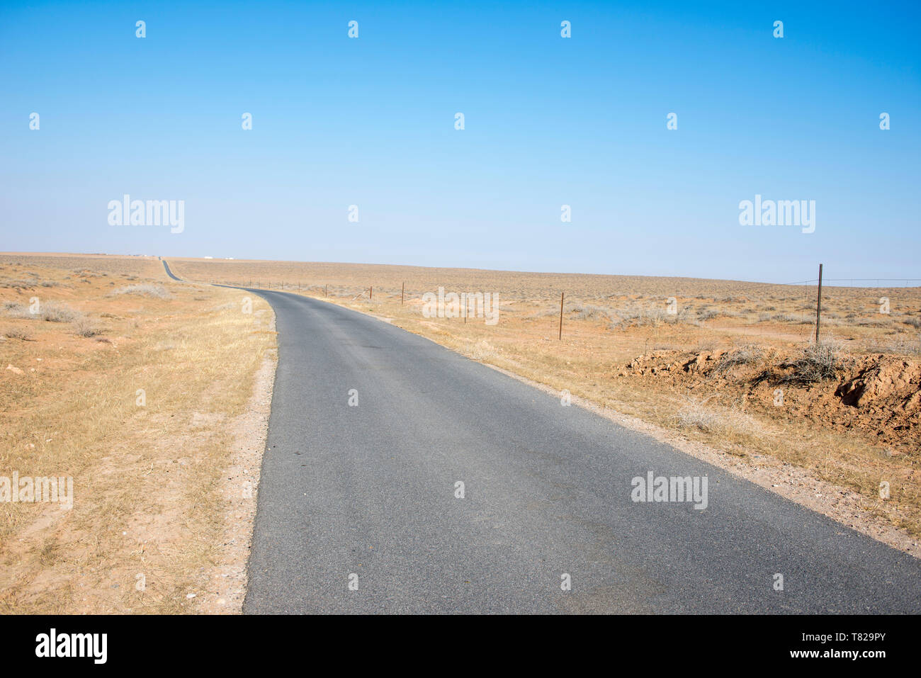 Close up the asphalt road in the country pasture. Stock Photo