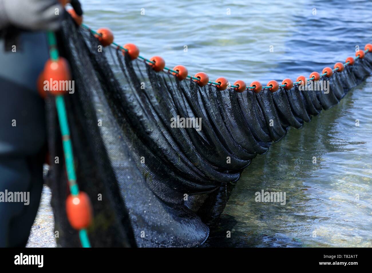 Purse seine fishing hi-res stock photography and images - Alamy