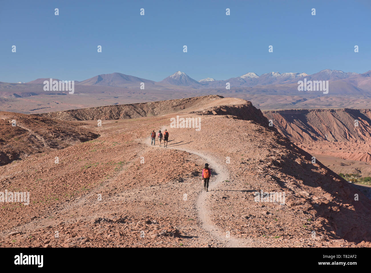 Hiking above Licancabur volcano and the desert landscape in the Moon Valley, San Pedro de Atacama, Chile Stock Photo
