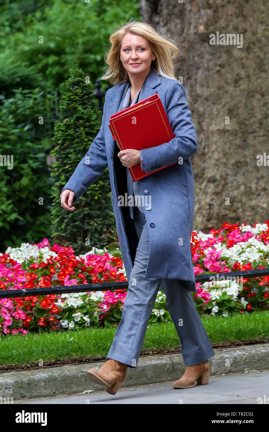 Esther McVey seen in Downing Street. Esther McVey, Brexiteer and a former Secretary of State for Work and Pensions announces plan to run for Tory leadership.  Esther McVey, resigned as Work and Pensions Secretary last November in protest at British Prime MInister's withdrawal agreement with the European Union. Stock Photo