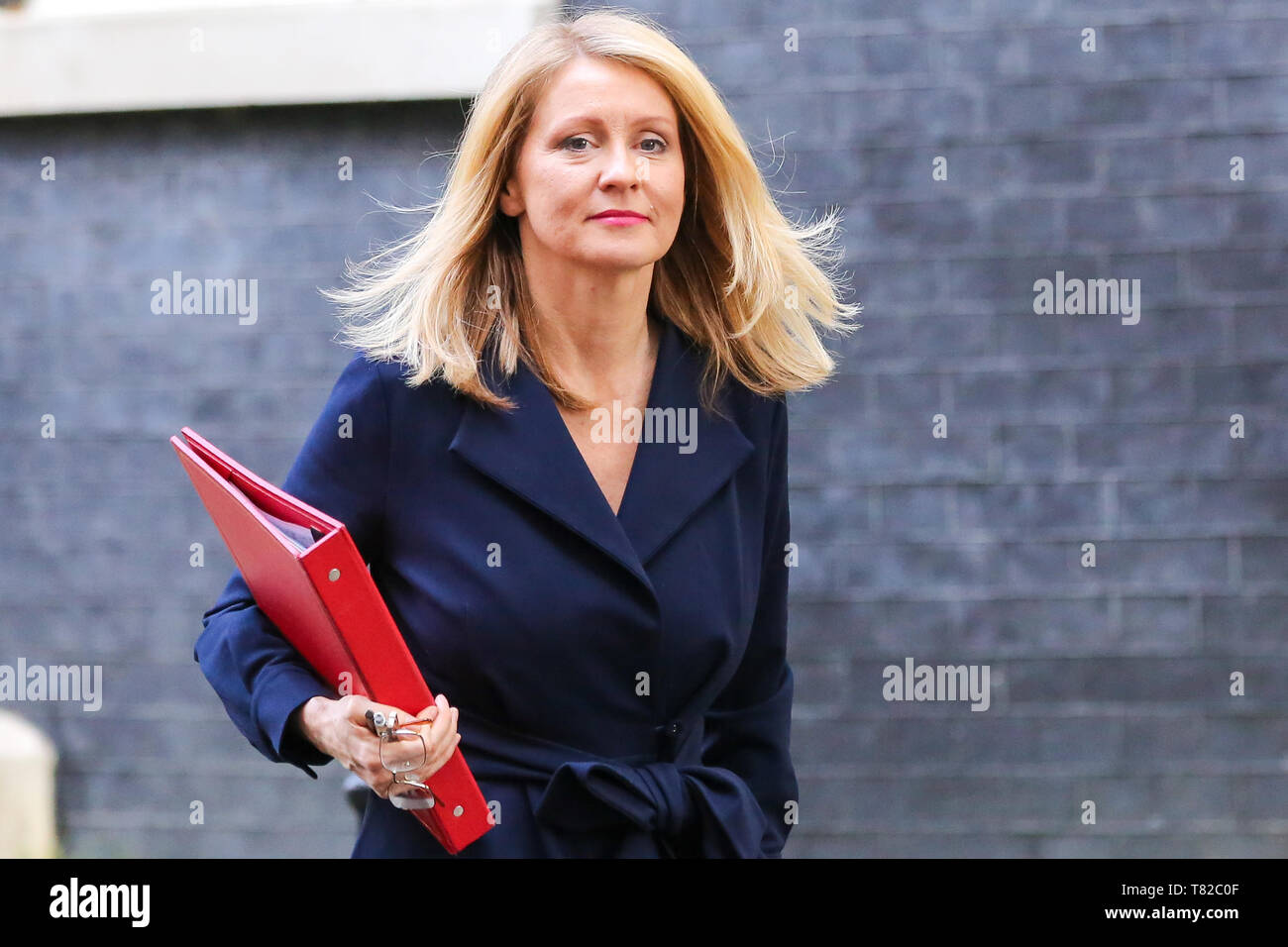 Esther McVey seen in Downing Street. Esther McVey, Brexiteer and a former Secretary of State for Work and Pensions announces plan to run for Tory leadership.  Esther McVey, resigned as Work and Pensions Secretary last November in protest at British Prime MInister's withdrawal agreement with the European Union. Stock Photo