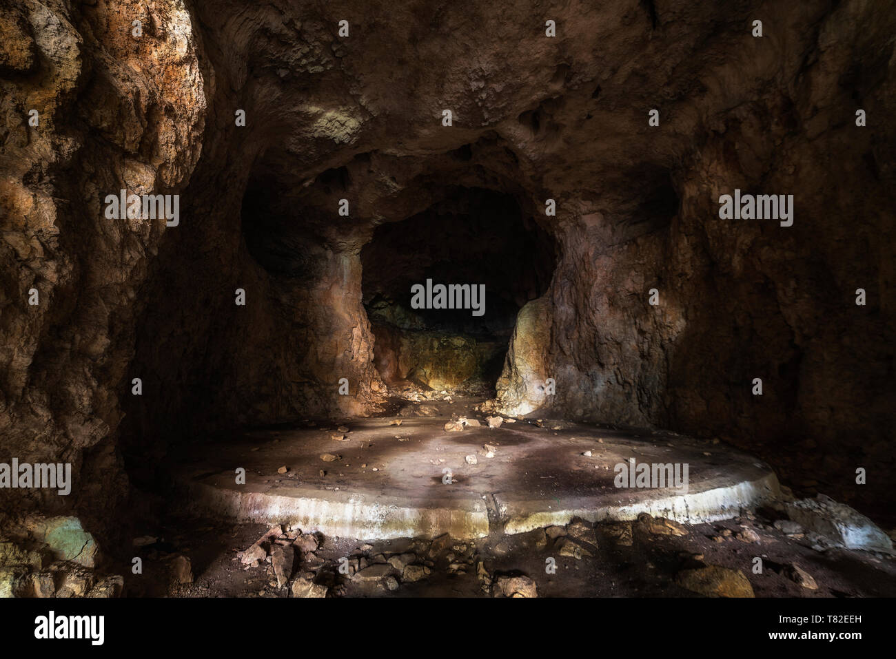 Underground ecosystem hi-res stock photography and images - Alamy