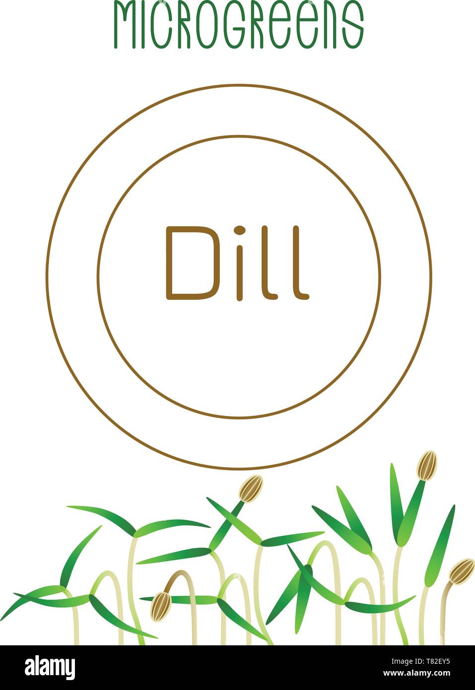 Microgreens Dill. Seed packaging design. Vitamin supplement, vegan food