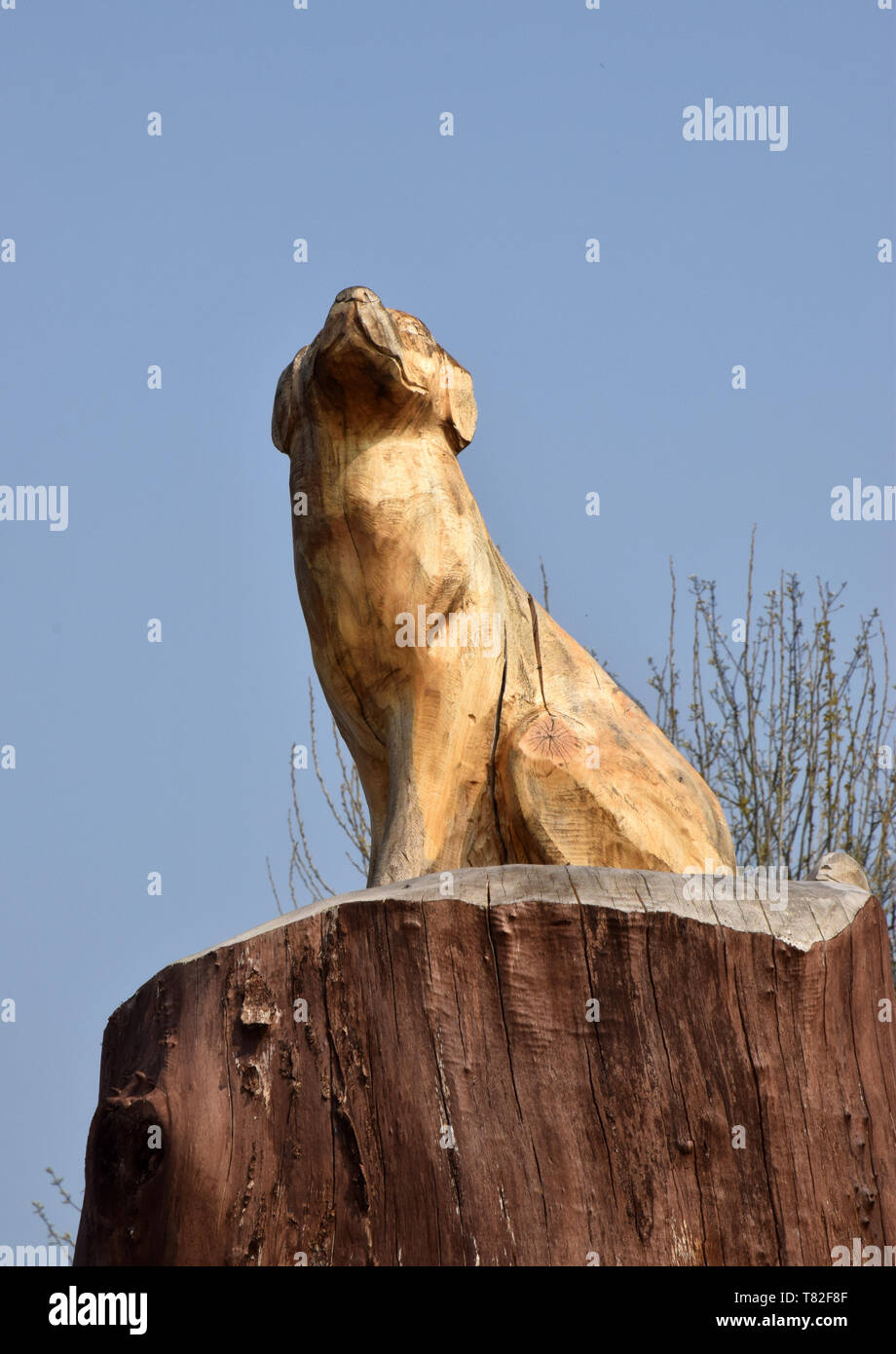 carved wooden dog on tree plinth Stock Photo - Alamy