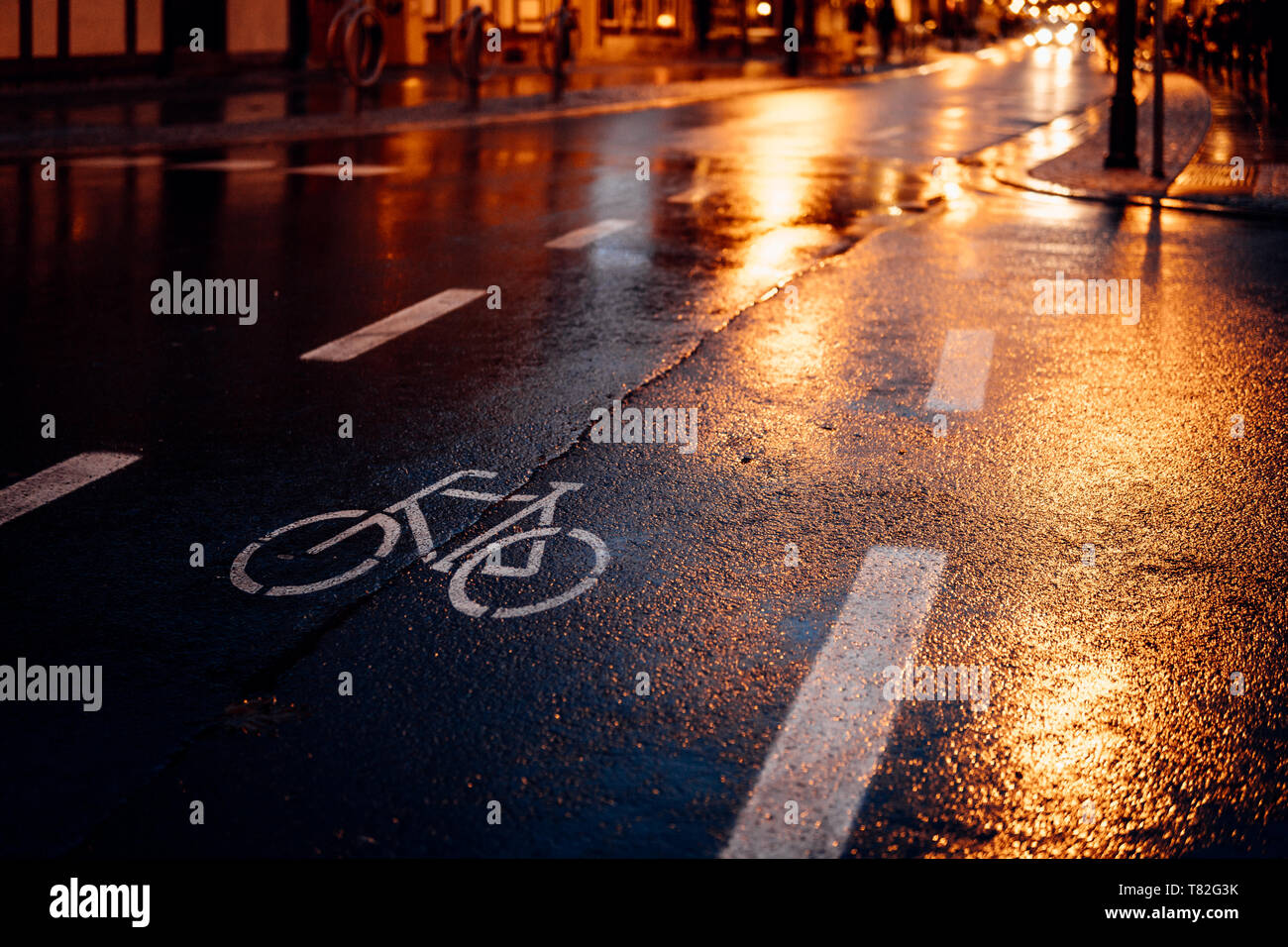 Bike path on a wet road at night Stock Photo