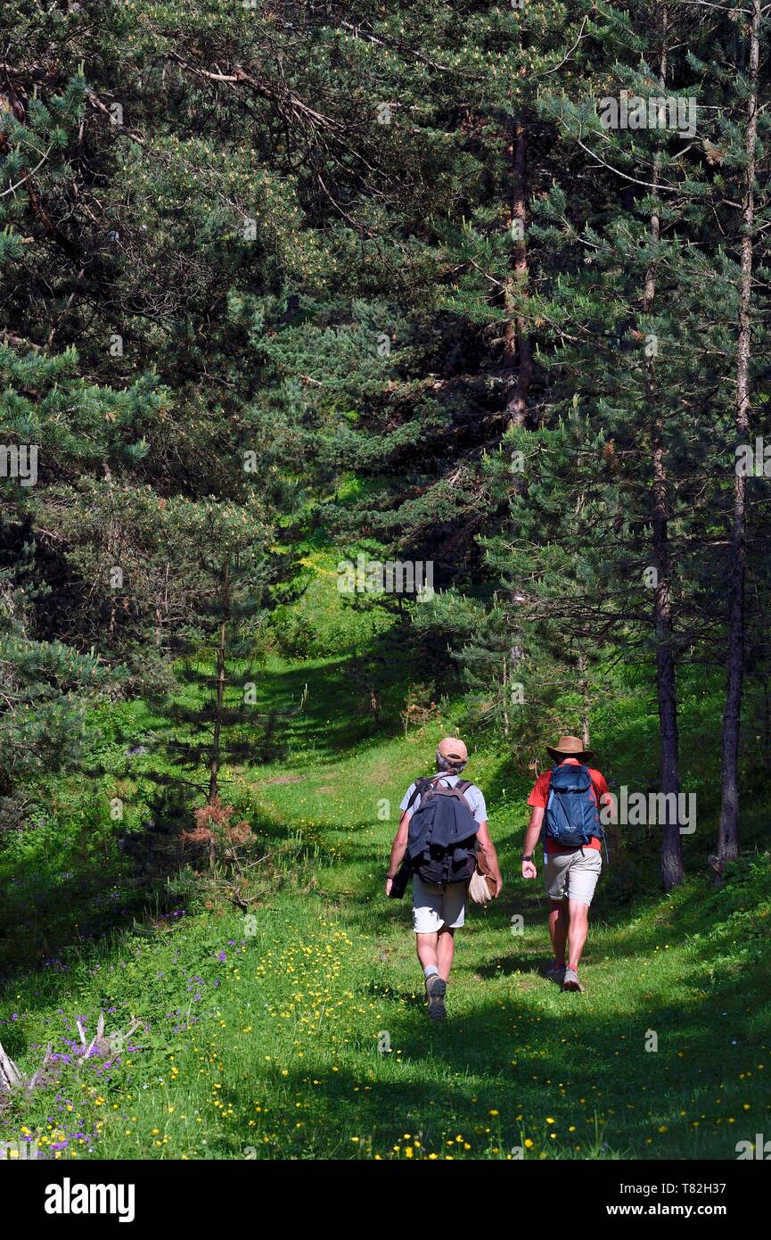 Georgia, Kakheti, Tusheti National Park, hikers in the forest around the village of Diklo on the Dagestan border (Russia) Stock Photo