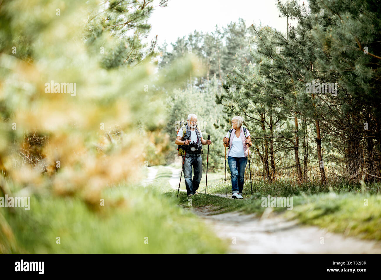 Happy senior couple hiking with trekking sticks and backpacks at the young pine forest. Enjoying nature, having a good time on their retirement Stock Photo
