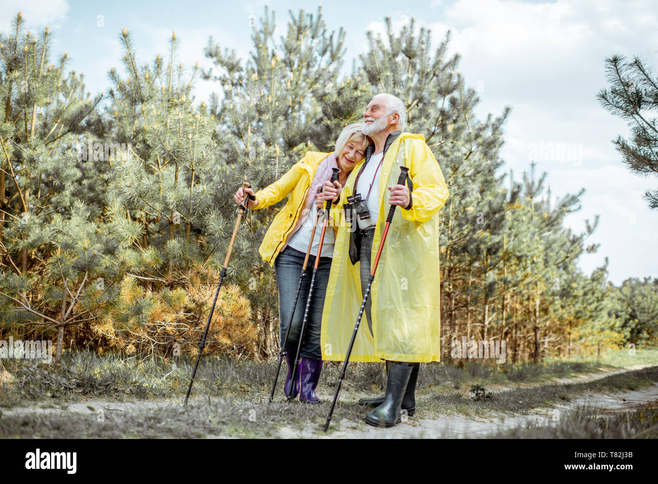 Happy senior couple in yellow raincoats hiking with trekking sticks in the young pine forest. Concept of an active lifestyle on retirement Stock Photo