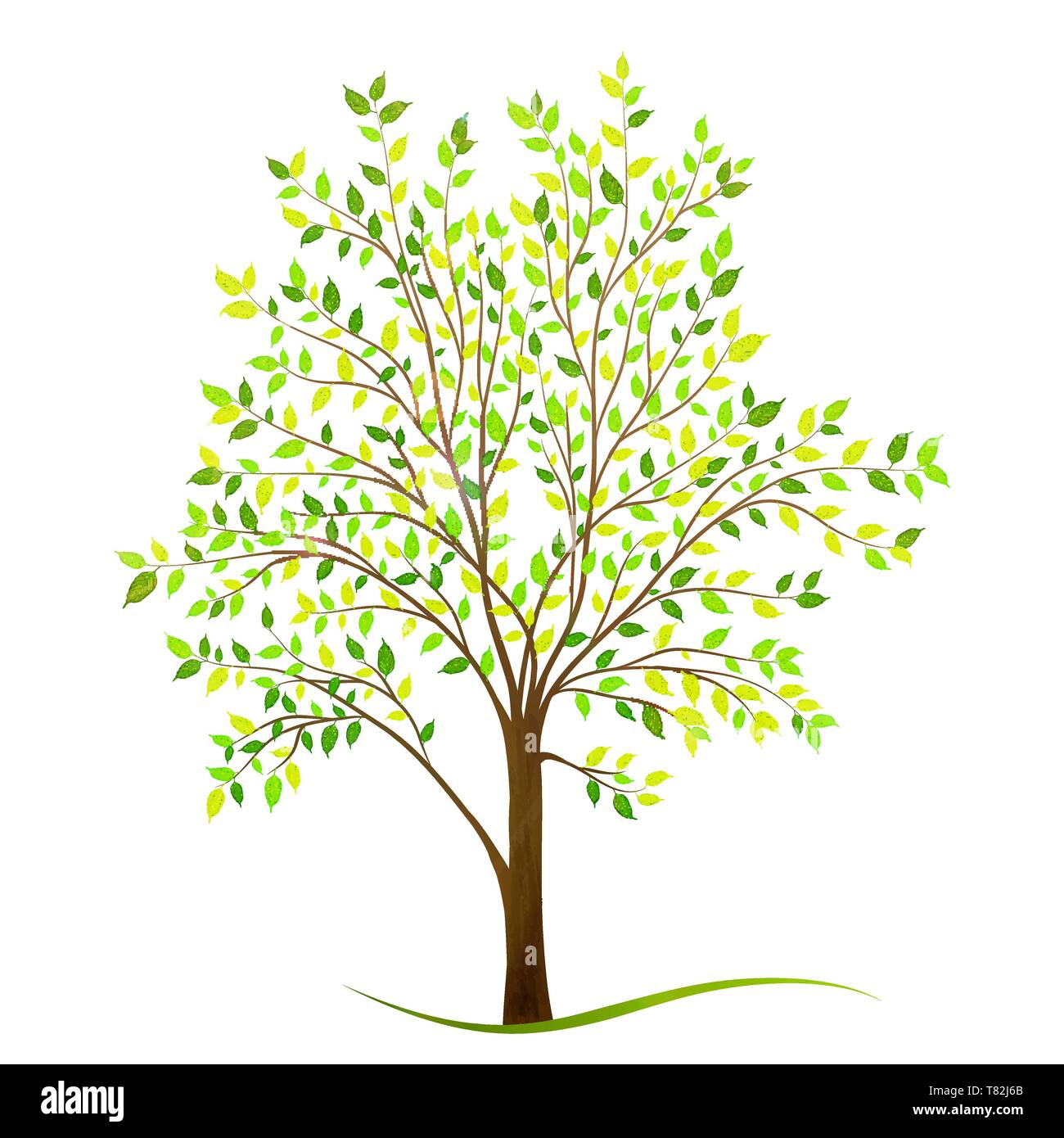 Green tree with leaves on white background vector Stock Vector Image ...