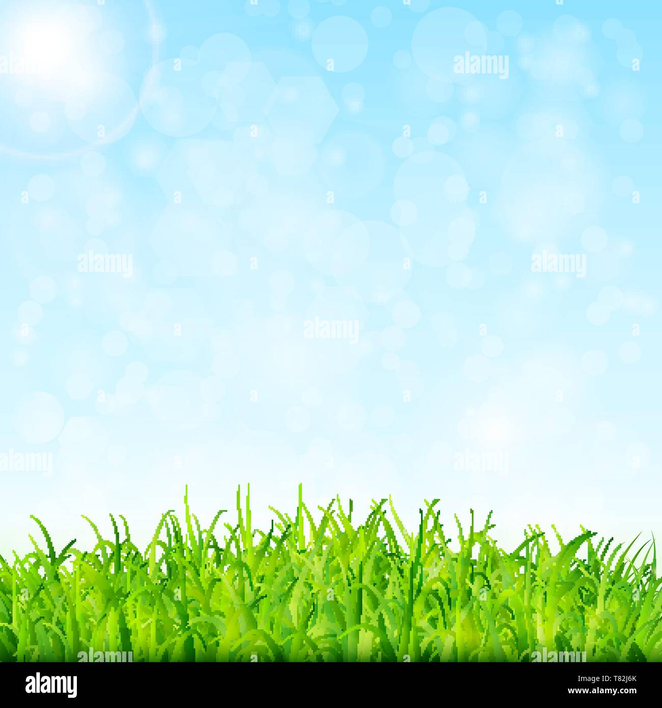 Nature background with green grass and blue sky vector Stock Vector ...