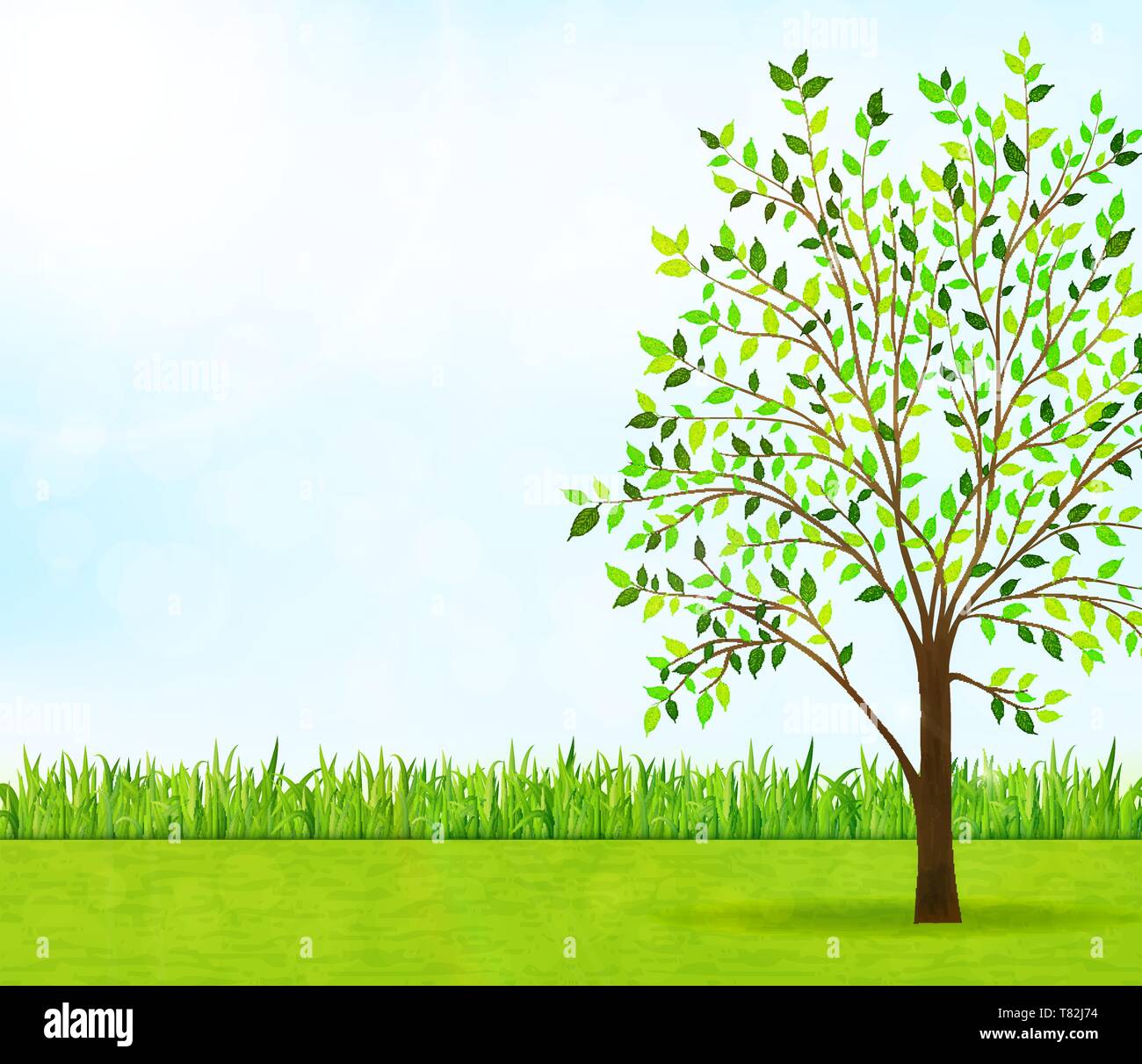 Nature background with green grass and tree vector Stock Vector Image & Art  - Alamy