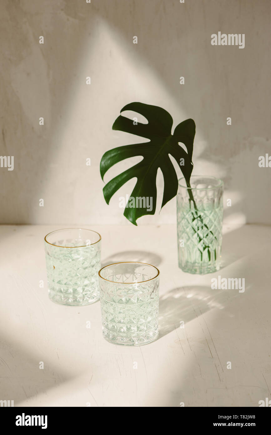 Monstera tropical palm leaves in a glass standing on white table, front ...