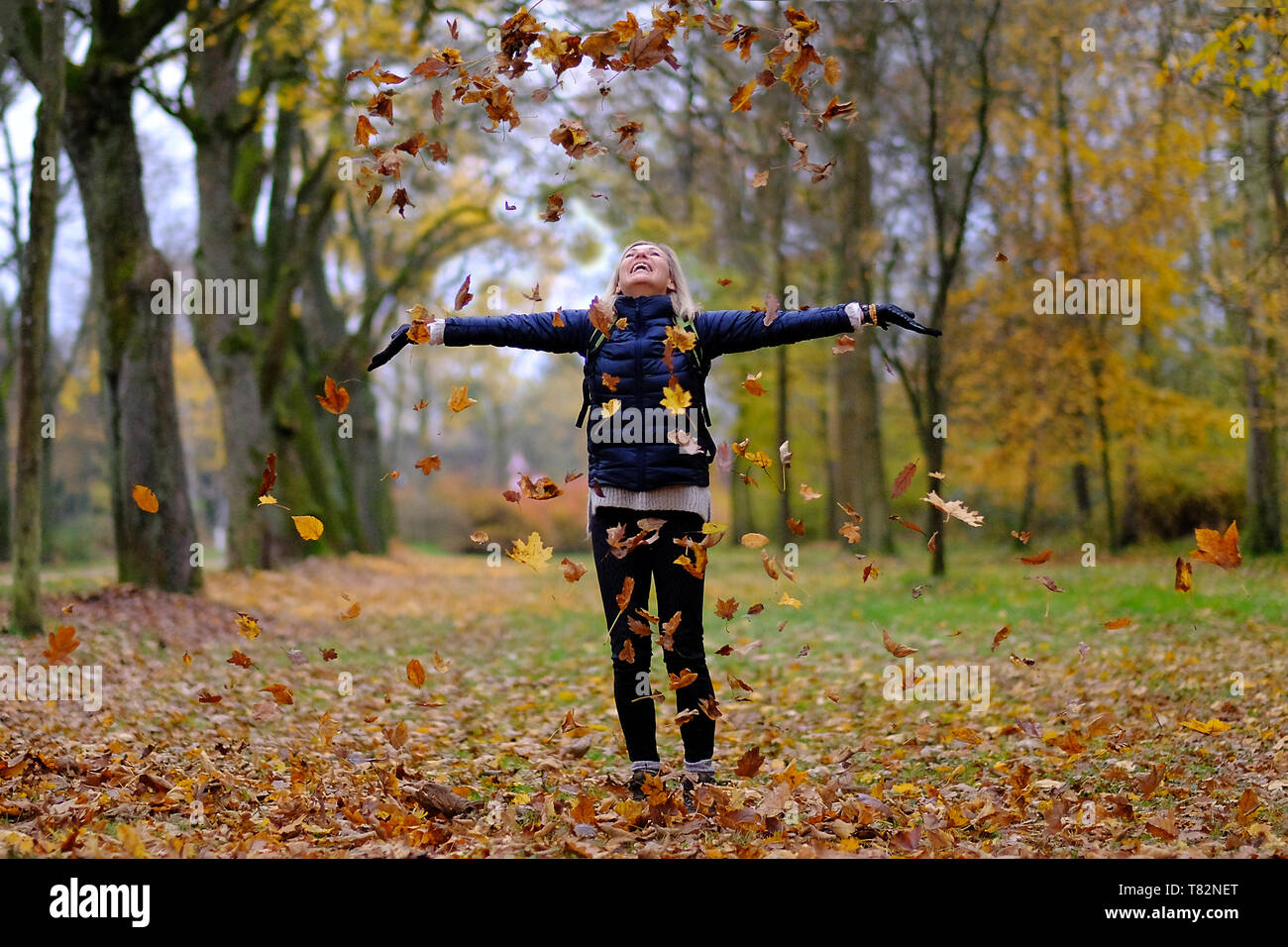 young woman throwing colourful autumn leaves in the air Stock Photo