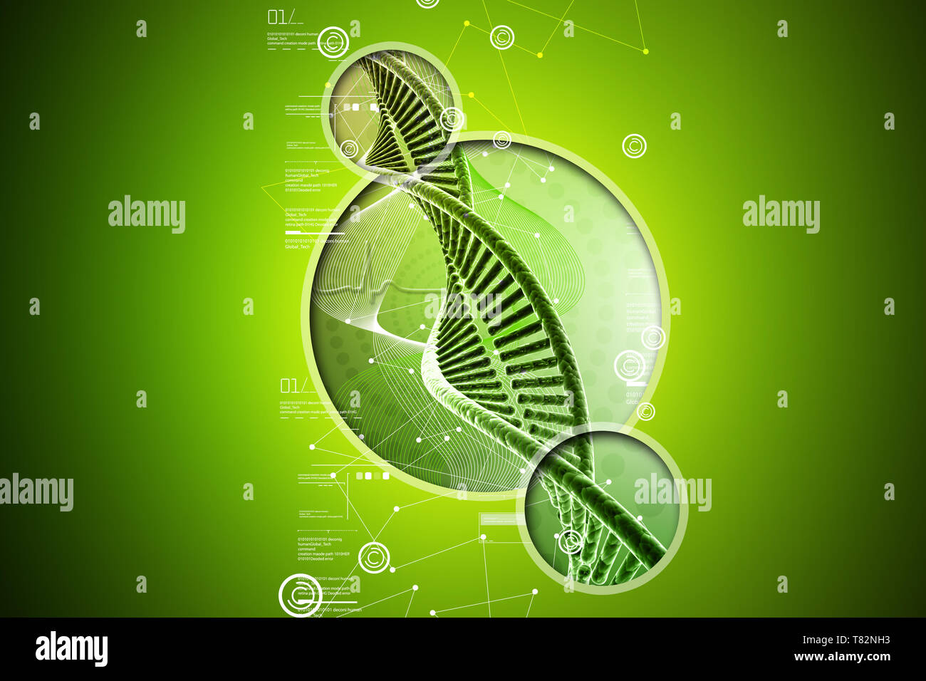 human DNA strand Stock Photo Alamy
