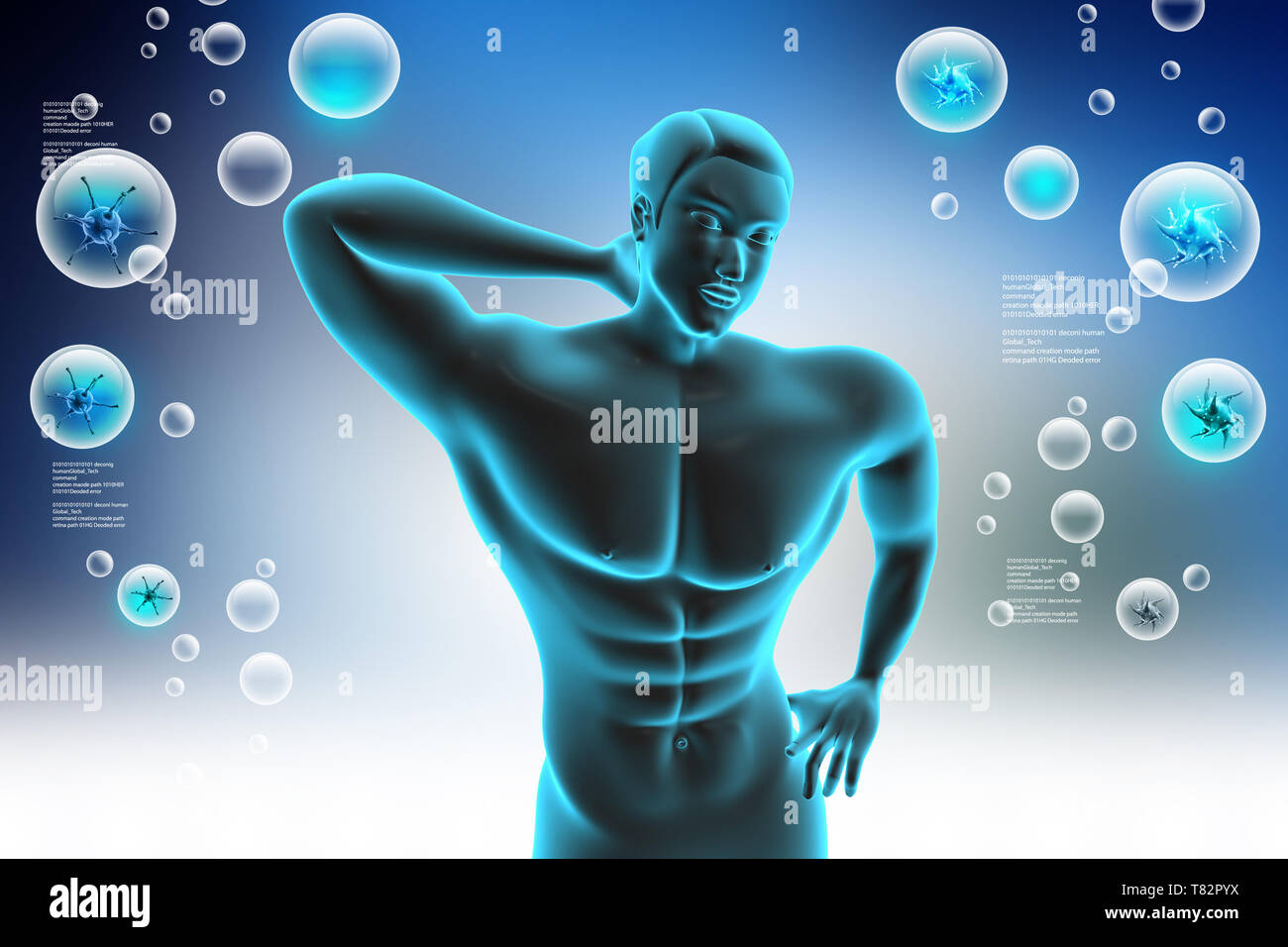 Anatomy Rear View Back Human High Resolution Stock Photography and