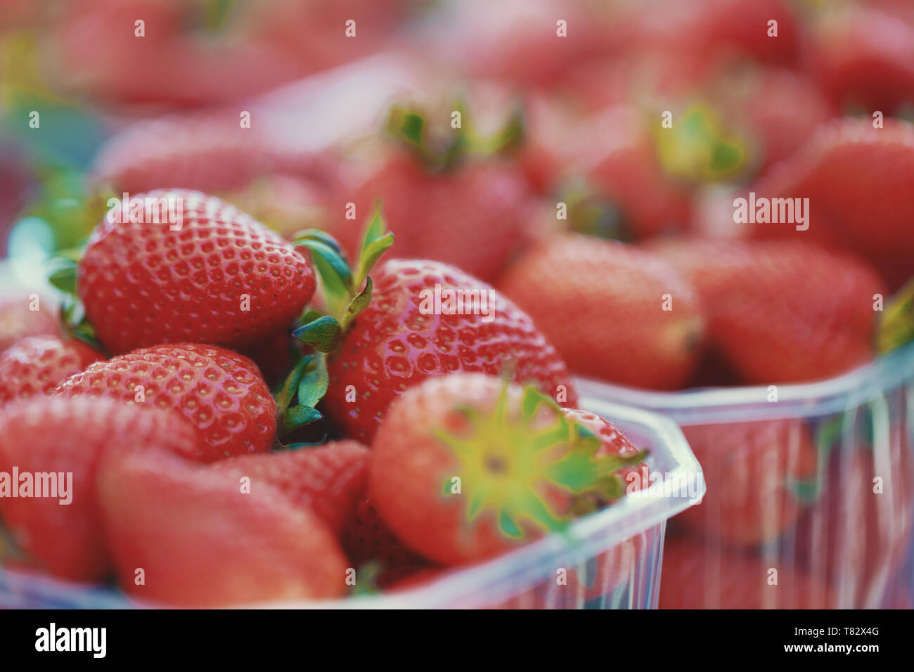 Fresh red tasty strawberries on tablet at market closeup, outdoors, depth of field Stock Photo
