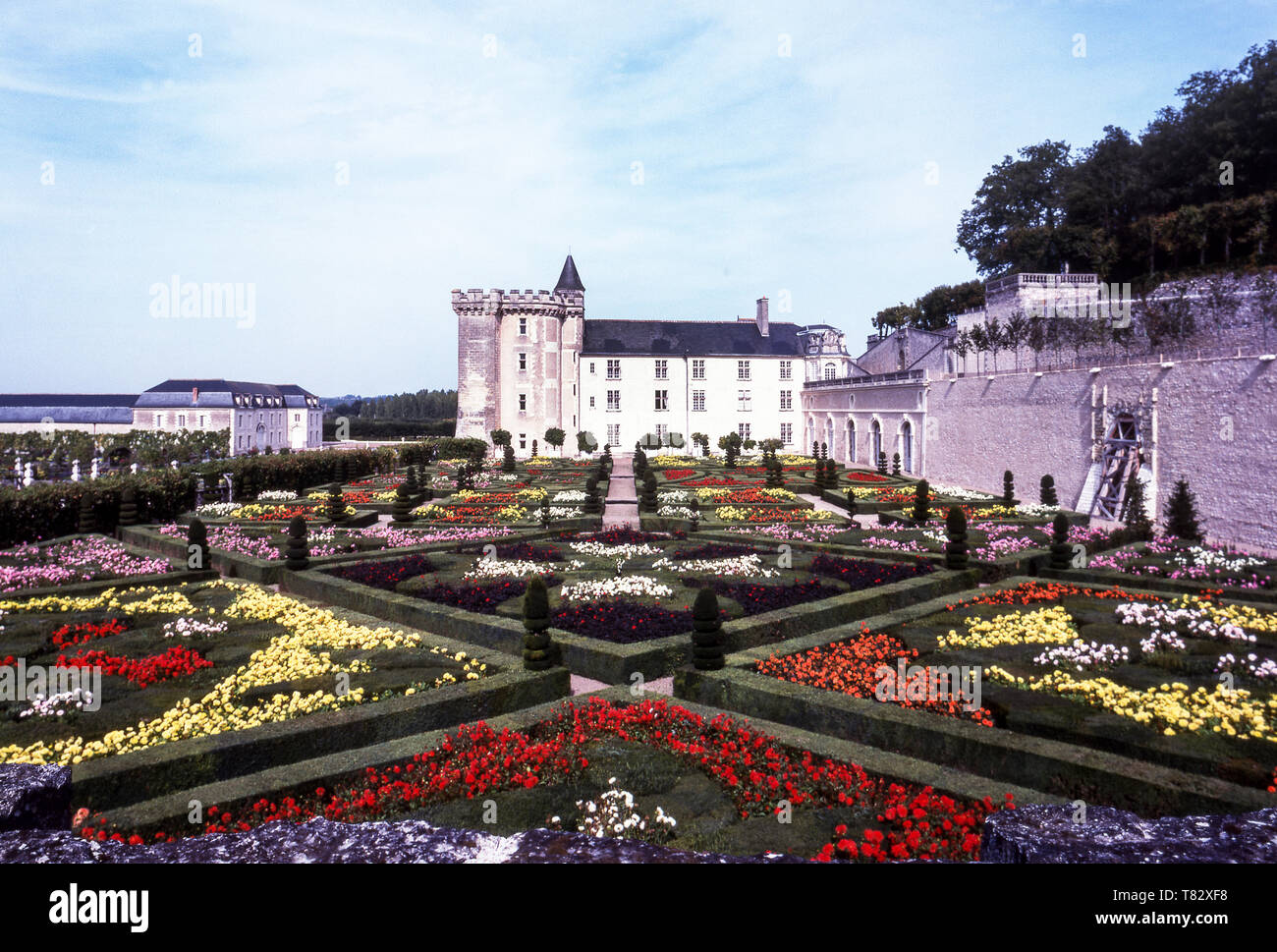 The gardens of the Chateau of Villandry. The Loire Valley. France Stock Photo