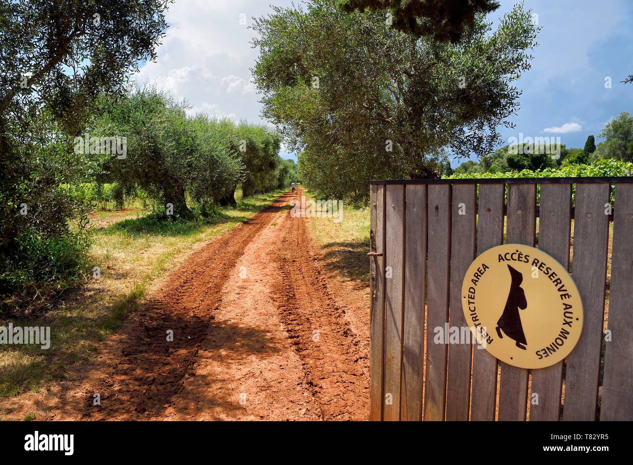 île saint honorat monks hires stock photography and images Alamy