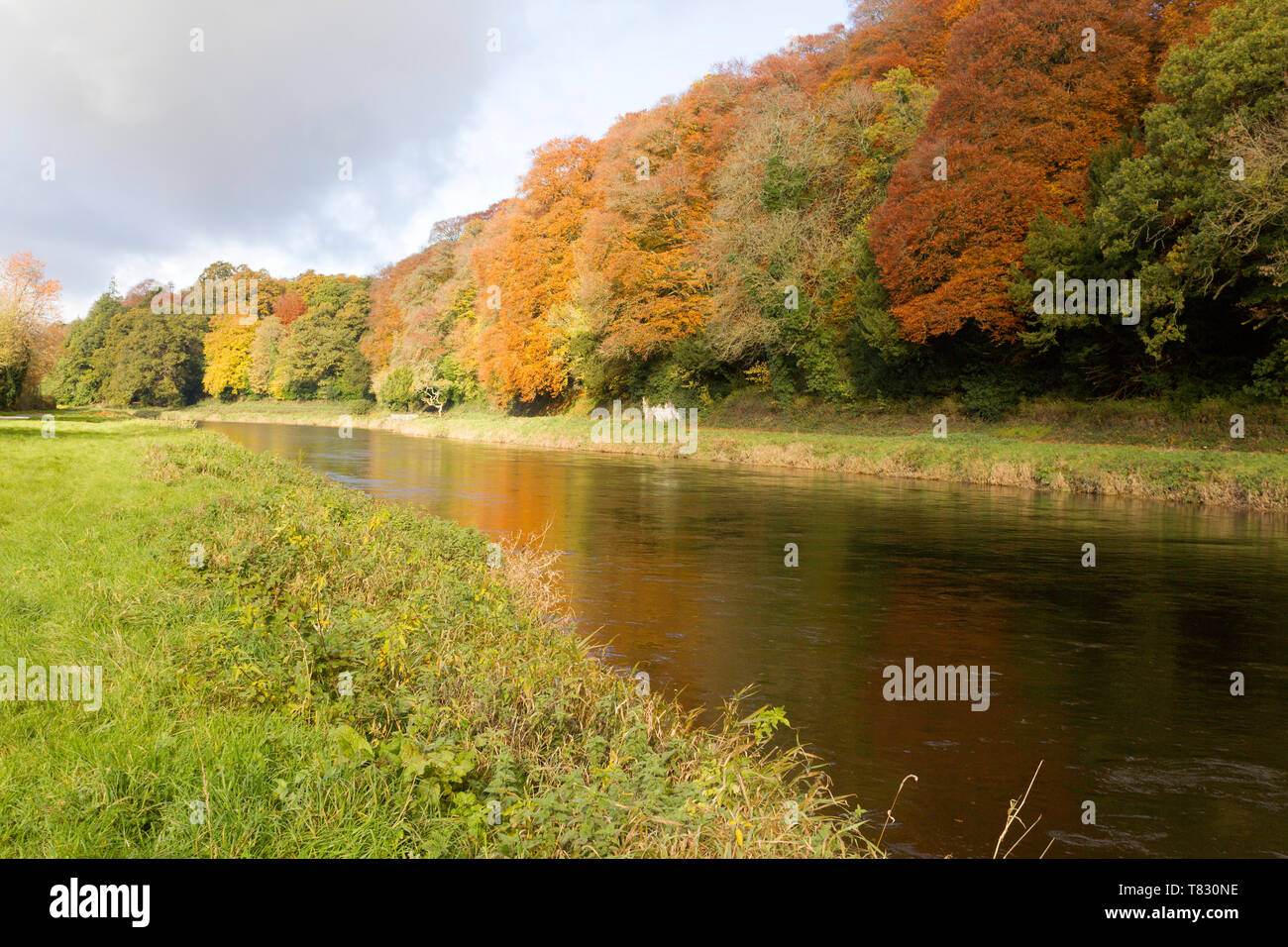 Image of a colorful river bank in the autumn season Stock Photo - Alamy