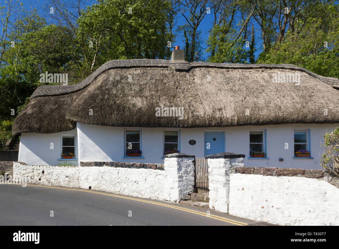 Modern thatched house in Dunmore East.County Waterford,Ireland Stock Photo Alamy