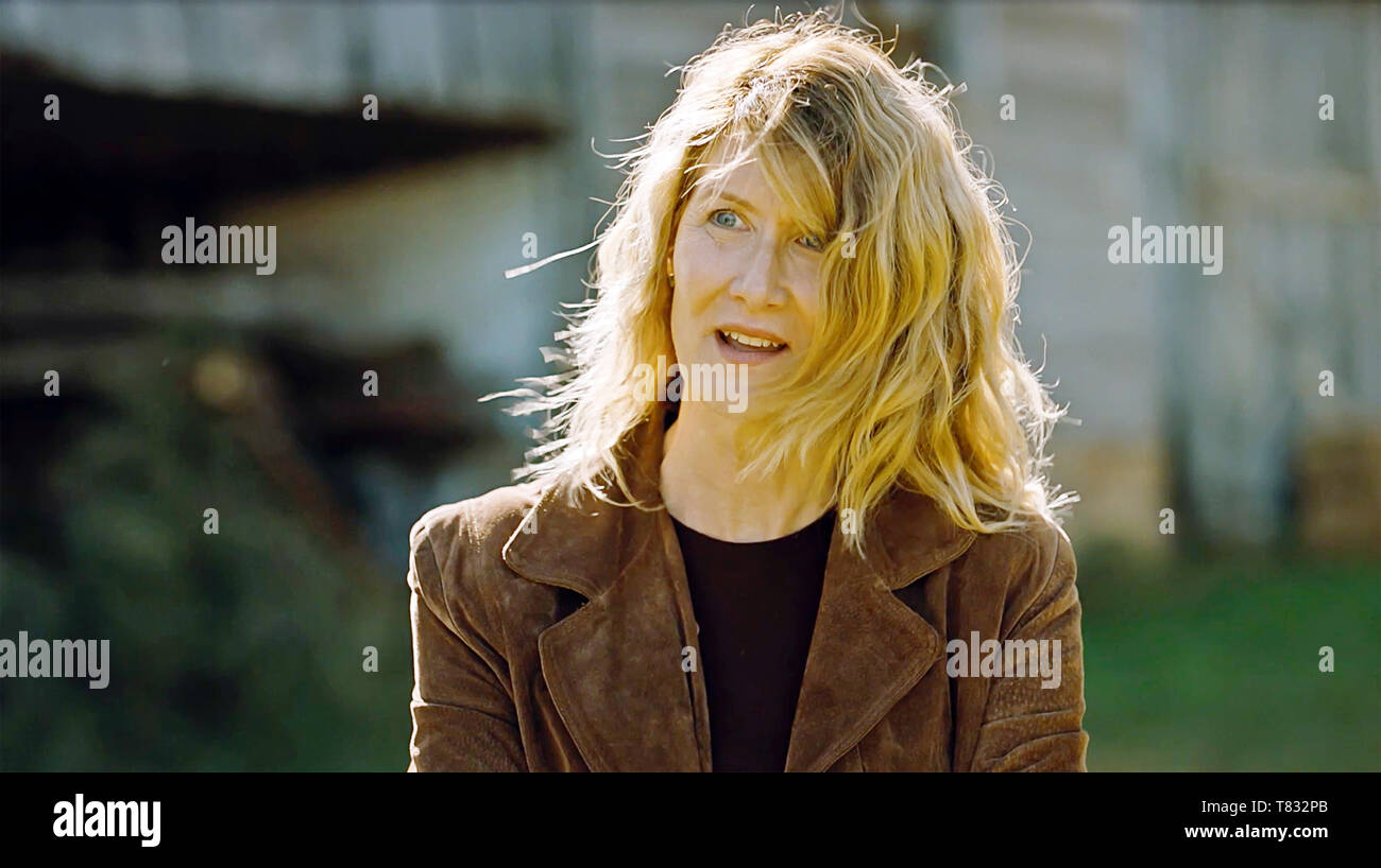 usa-laura-dern-in-a-scene-from-the-roadside-attractions-new-movie