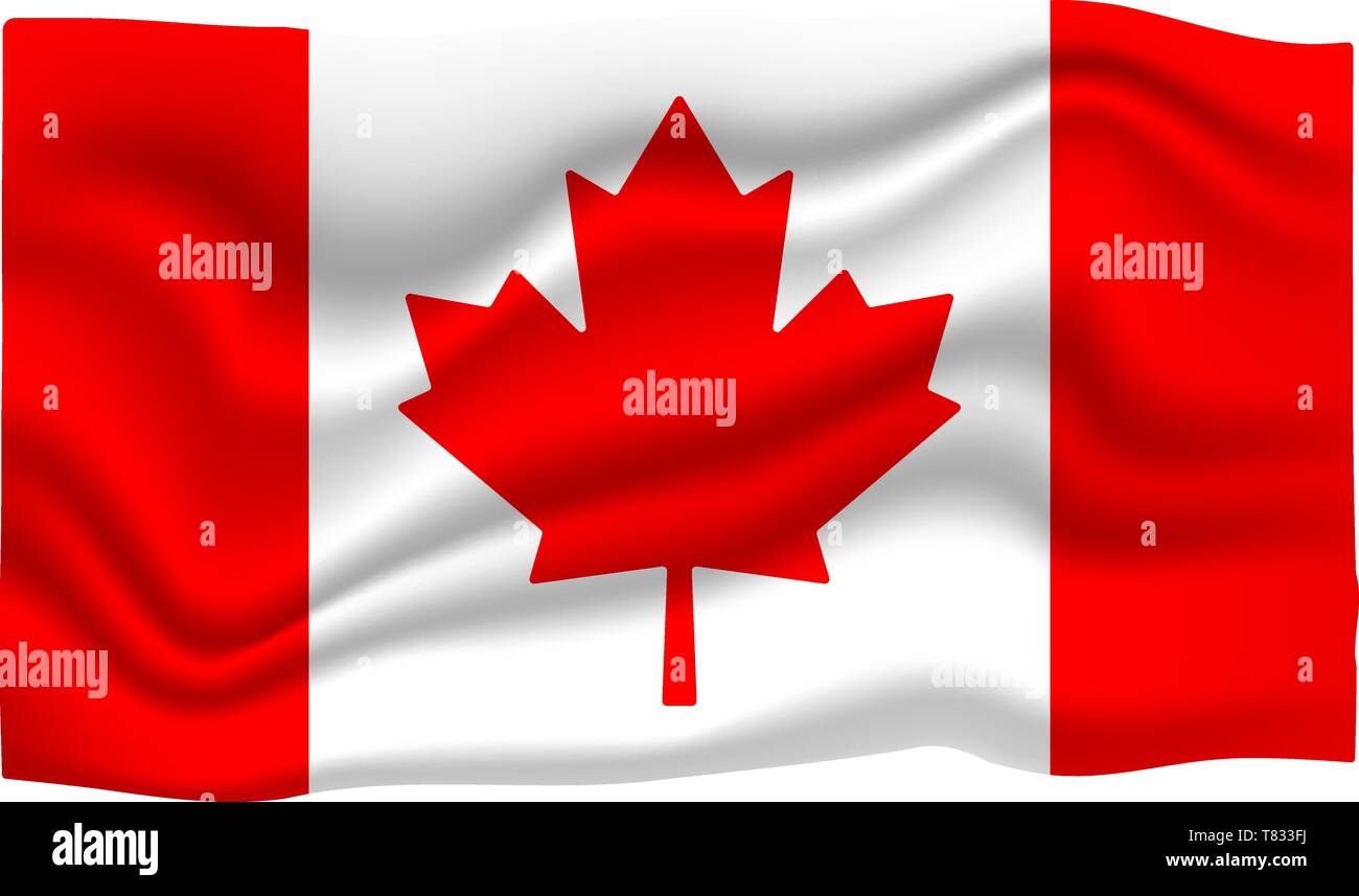 Canada Flag Icon. National Flag Banner. Cartoon Vector illustration