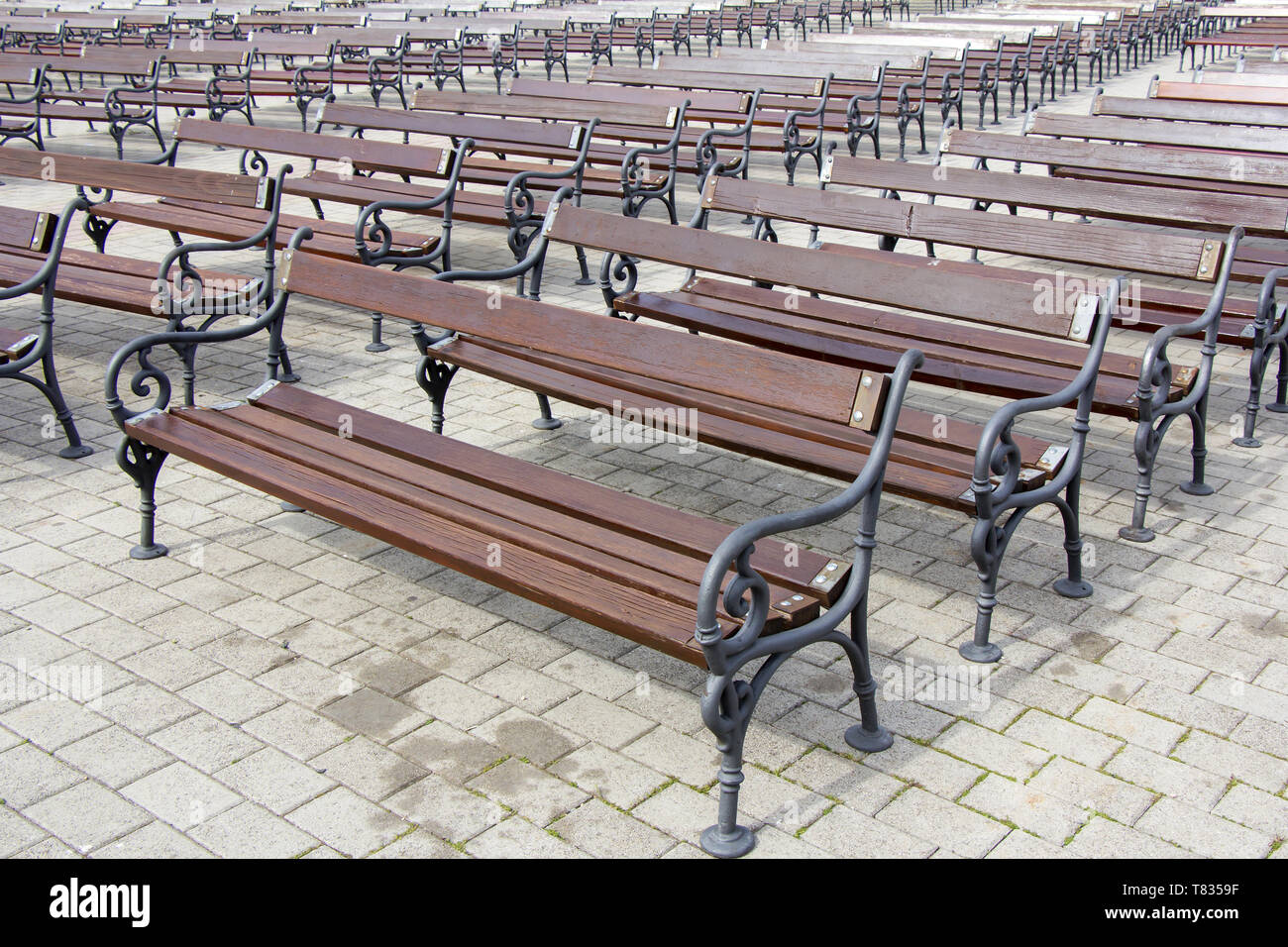 Lot of Rows of empty brown wooden benches Stock Photo