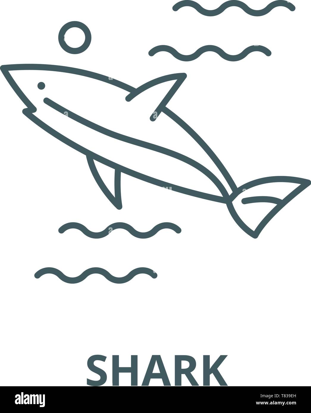 White shark head and teeth Stock Vector Images - Alamy