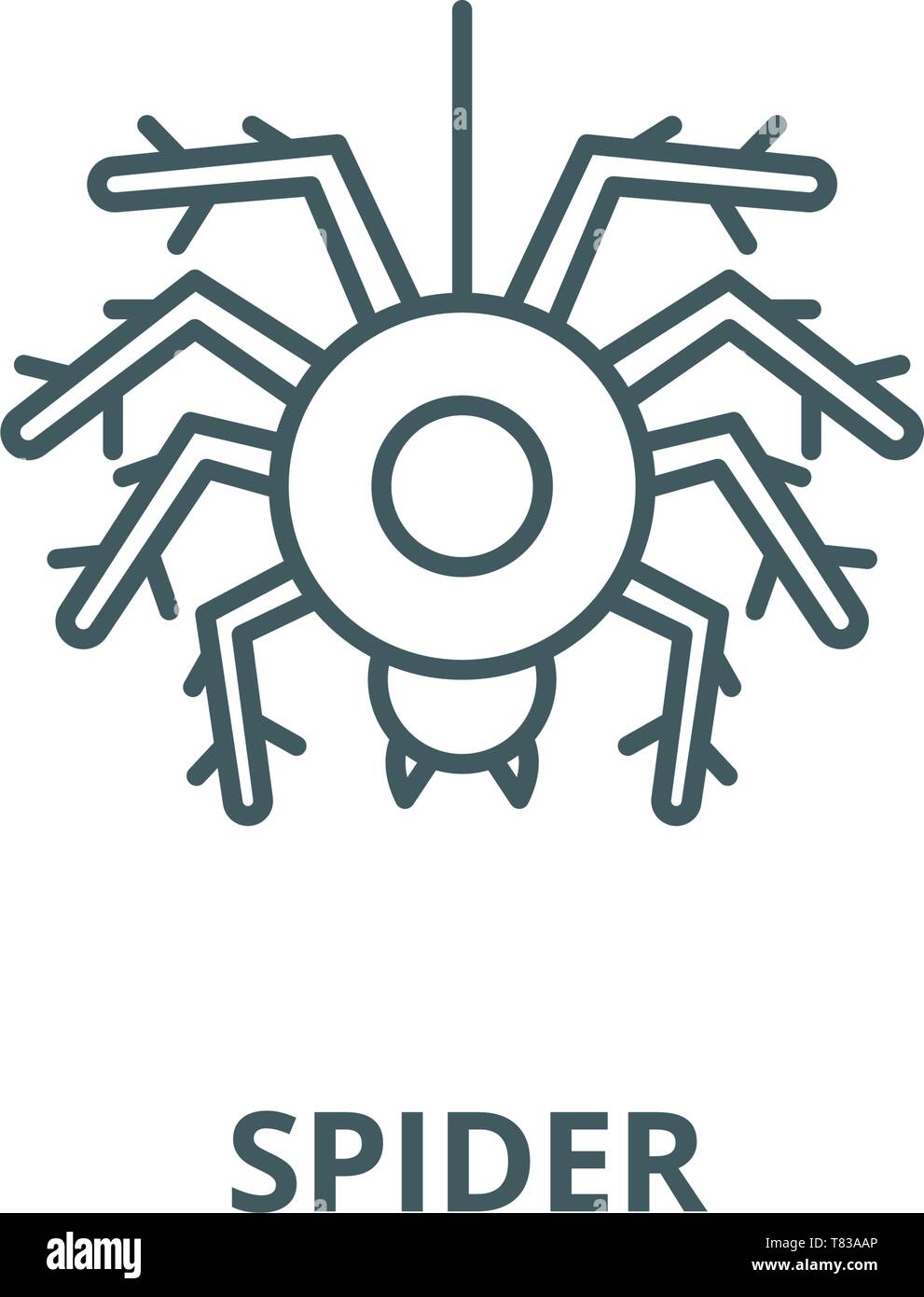 Spider vector line icon, linear concept, outline sign, symbol Stock ...