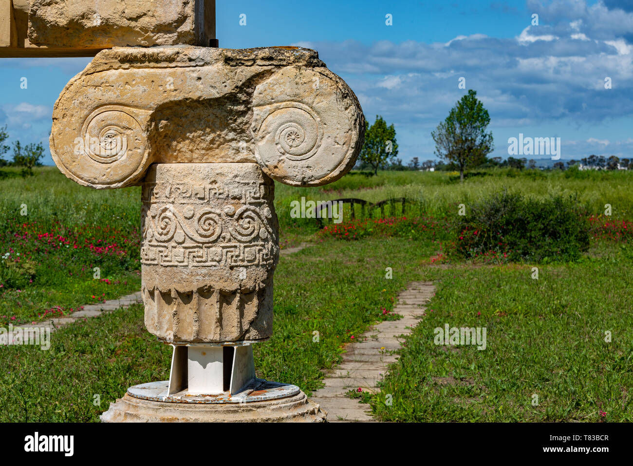 Urban Area Park, Metaponto Archaeological Area. Ionic Temple. Basilicata Stock Photo