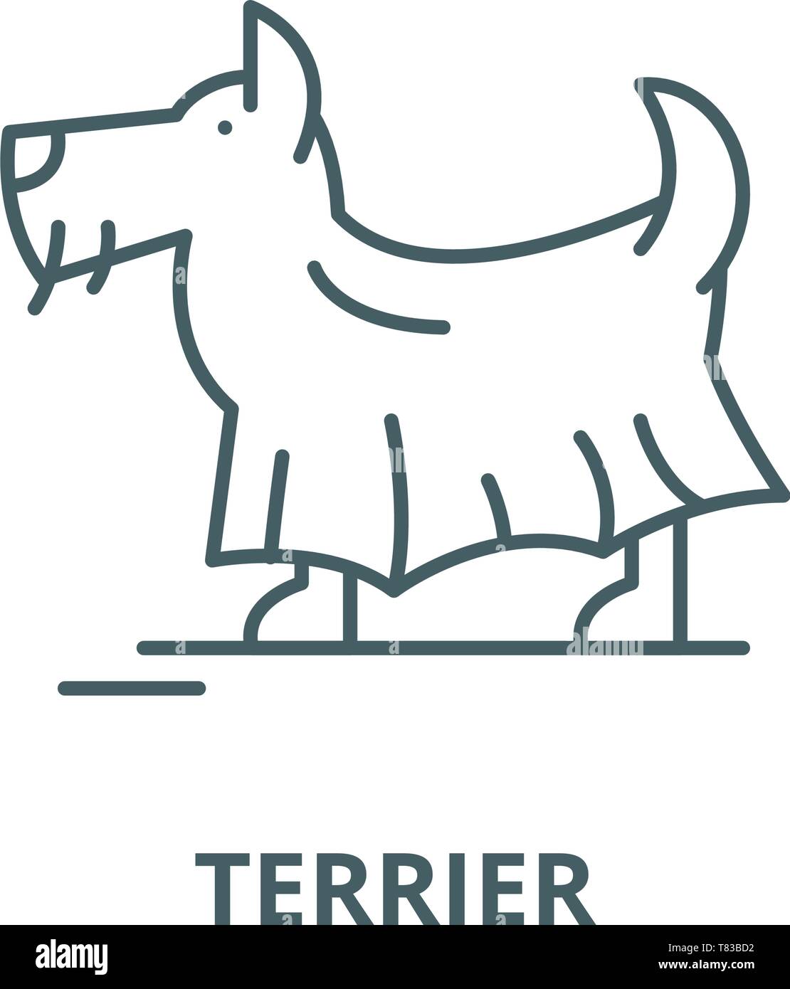 Terrier vector line icon, linear concept, outline sign, symbol Stock ...